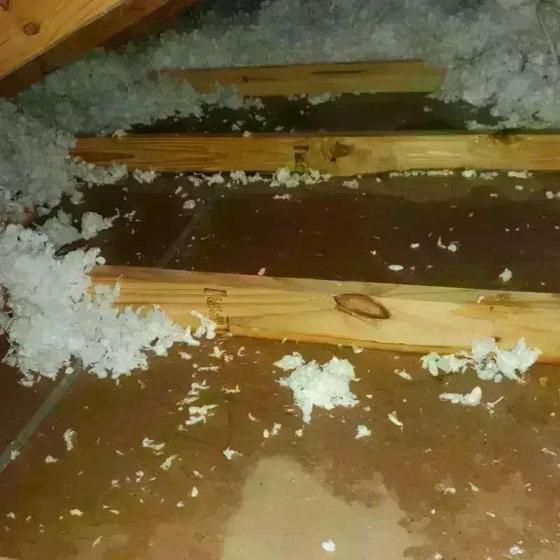 Attic Water Damage in Chesterfield County, SC